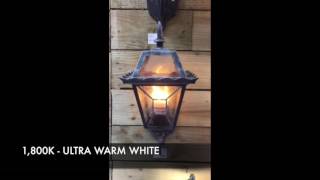 Fusion LED Flicker Flame Lamp [upl. by Duff]