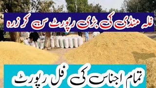 wheat mandi rate today  new munji rate  Dhan price  maki til rate cotton sarso bajra rate  1121 [upl. by Ducan]