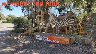 Werribee Open Range Zoo Tour  Victoria Australia [upl. by Hoy948]