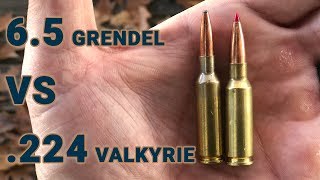 Ammo showdown 65 Grendel vs 224 Valkyrie [upl. by Norrehs421]