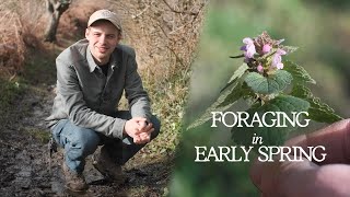 Edible Plants to Forage in March  Woodland Foraging UK [upl. by Whittemore]