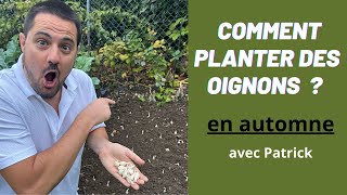 Comment Planter des Oignons Blanc au Potager  Guide Facile et Rapide [upl. by Erdnaid]