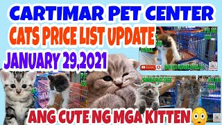 CARTIMAR PETSHOP MANILA PHILIPPINES CATS FOR SALE WBREED AND PRICE UPDATE 013021vlog137 [upl. by Karub]