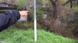 022117 Hellyer park flooding  video 1 [upl. by Nehgam]