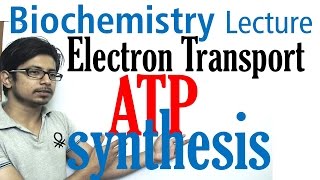 Inhibitors of Electron Transport Chain [upl. by Daugherty]