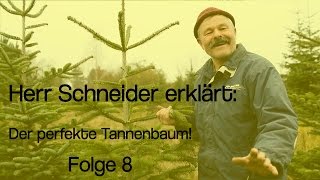 Herr Schneider erklärt Der perfekte Tannenbaum [upl. by Annoid]