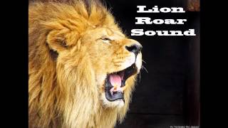 Lion Roar Sound Effect [upl. by Erland]