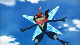 chesnaught greninja amv [upl. by Silas817]