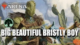 Bristly Bill Spine Sower 🌳🌳🌳  Historic Brawl  Magic the Gathering Arena [upl. by Oab316]