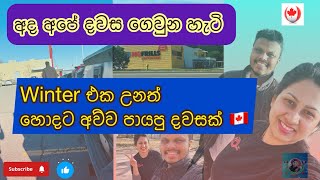 හිතපු තරම් හිම වැටුනේ නැති ontario වල අපේ දවස ගෙවුන හැටි 🇨🇦❄️ [upl. by Marmaduke150]