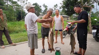 Thăm nhà ông Viên  2 ông xuống ao kéo cá to bán​ [upl. by Neros]