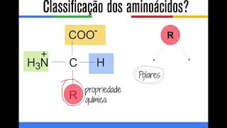 Aminoácidos1 [upl. by Elleuqar]