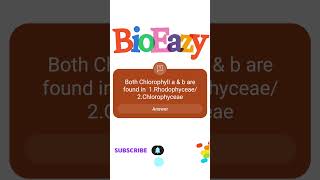 Chlorophyll a and b are found in 1 Rhodophyceae 2Chlorophyceae bioeazy amitsir neetbiology [upl. by Aehsat]