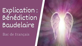 Bénédiction de Baudelaire explication  Les Fleurs du Mal [upl. by Dnalrah]