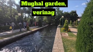 Mughal garden Verinag  मुग़ल गार्डन वेरीनाग  Kashmir [upl. by Rausch819]