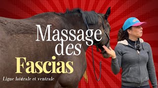 TUTO MASSAGE 🐴 Apporter du confort à son cheval grâce à la Fasciathérapie 🩵 [upl. by Alisen297]