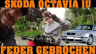 Skoda Octavia 1U  Federn amp Stossdämpfer NEU 🔧🔧🔧 [upl. by Liauqram]