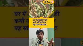 Snake Tree घर में ऑक्सीजन की कमी नहीं होने देगा यह सांप जैसा पौधा Local18 [upl. by Link]