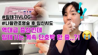 임테기하는vlog 배란912일차 역대급 폭풍같은 증상들 임테기 미운 한 줄 임테기 하며 보내는 일상 다시 초심으로 [upl. by Aihsa]