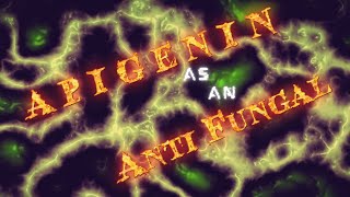 Apigenin as an antifungal [upl. by Einahpad]