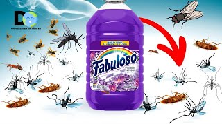 Pon Esto 1 hora en tu casa Ya no verás Mosquitos Moscas o Cucarachas  Insecticida Natural [upl. by Sualokcin]