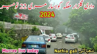 murree live today  Nathia gali live today  murree weather today  murree snowfall update 2024 [upl. by Airamat]