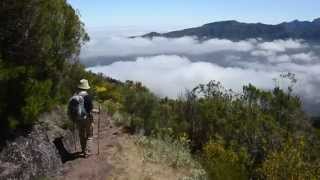 MADEIRA LEVADA WALKS [upl. by Namyaw]