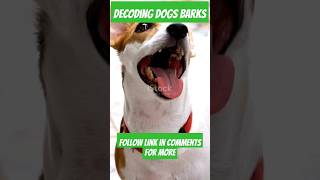 Decoding Dog Barks What’s Your Dog Really Saying facts doglover dogs [upl. by Annyahs]