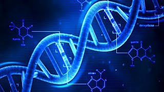 DNA  What is DNA  Basics of DNA [upl. by Adilen301]