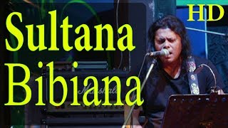 Sultana Bibiana  সুলতানা বিবিয়ানা  Live Concert  2023 [upl. by Izmar]