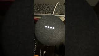 Google Home HAHAHAHAHAHAHA [upl. by Lynsey]