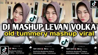 DJ MASHUP LEVAN VOLKA X TUMMERY MASHUP VIRAL TIK TOK TERBARU [upl. by Lidda452]