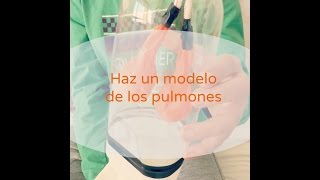 haz un modelo de pulmones [upl. by December808]