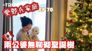 愛鄧氏家庭日常 EP 70 兩公婆無聊砌聖誕樹 [upl. by Stoffel]