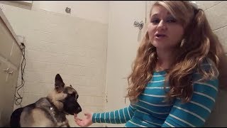 MEET THE YOUTUBER THAT HAS SX WITH HER DOGS [upl. by Wiseman]