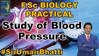 Measurement of Blood Pressure by Sphygmomanometer  Sirumairbhatti  Biologybybhatti [upl. by Odracir]