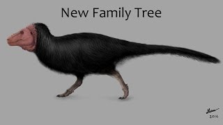 The New Dinosaur Family Tree Explained [upl. by Kanal]