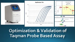 Real Time PCR Optimization amp Validation of Taqman Probe based assays [upl. by Aneerehs]