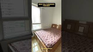 1bhk full furnished flat for rent VTP Belair near Hinjewadi phase 1  Mahalunge  🔴 PSO 8421310404 🔴 [upl. by Laird784]