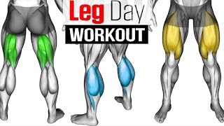 Full LEG Muscle Transformation 8 Best Exercises [upl. by Giamo]