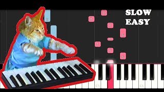 Keyboard Cat Theme SLOW EASY PIANO TUTORIAL [upl. by Dolley847]