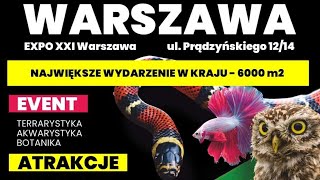 Akwarystyka na wydarzeniu quot egzotyczne zwierzęta quot 2909 Warszawa [upl. by Terb]