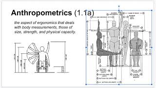 T1  Anthropometrics 1 [upl. by Onfroi825]