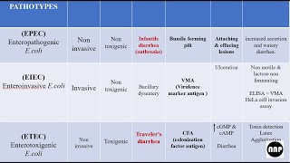 Diarrheagenic E coli amp agents causing diarrhea MBBS Microbiology [upl. by Lody]