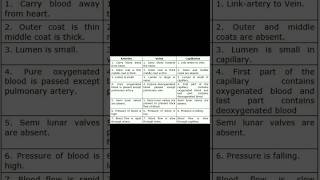 difference between arteries veins capillaries medicalstudent shortvideo Nursingstudy22 [upl. by Kcirdneked]