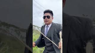 没有任何危险能逃过我的四鸡驱动 funny 搞笑短視頻合集 comedy 短剧 [upl. by Oirelav]