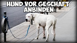 Hund vor Geschäft anbinden  warten lassen Ja oder Nein Worauf achten Tipps [upl. by Vanden]