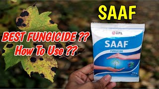 How To Use Saaf Fungicide On Plants In Hindi  Best Fungicide  Carbendazim 12  Mancozeb 63 WP [upl. by Cirdahc]