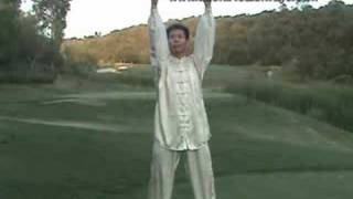 Tai Chi Taiji Warmup 18 Forms [upl. by Llirrehs]