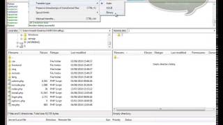 How Set FTP Filezilla for Upload Files in MODE BINARY [upl. by Kcirredal141]